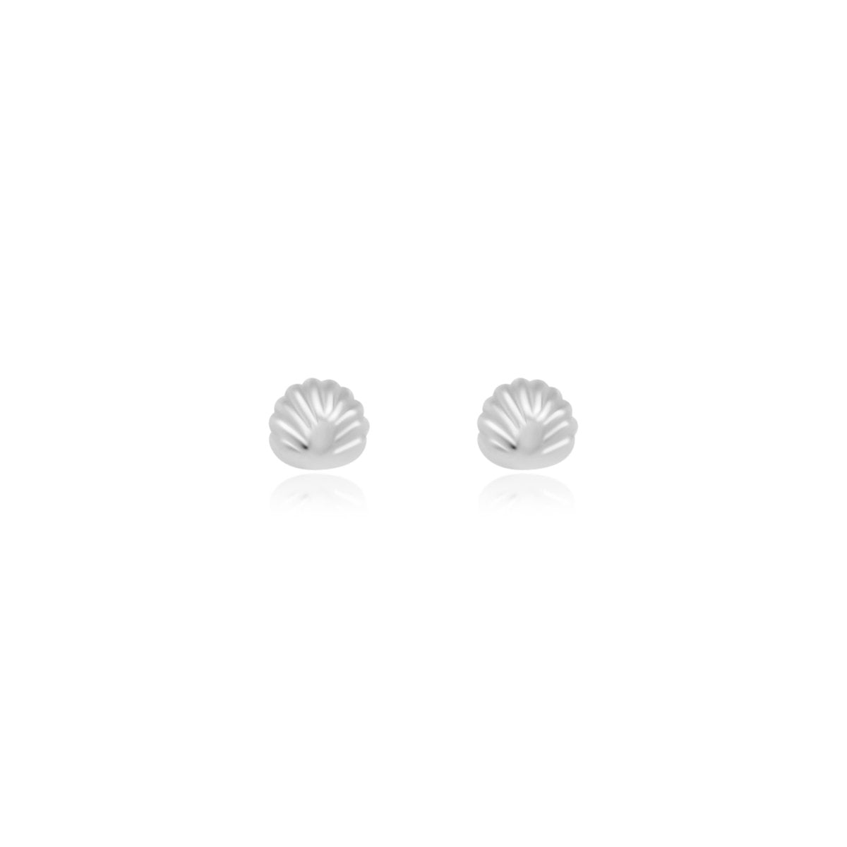 Shell Stud Earrings - Allyanna Gifts