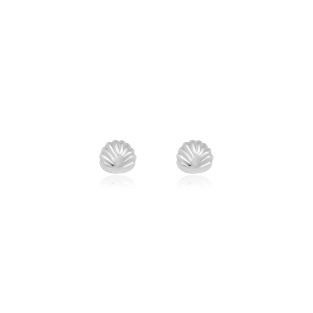 Shell Stud Earrings - Allyanna Gifts